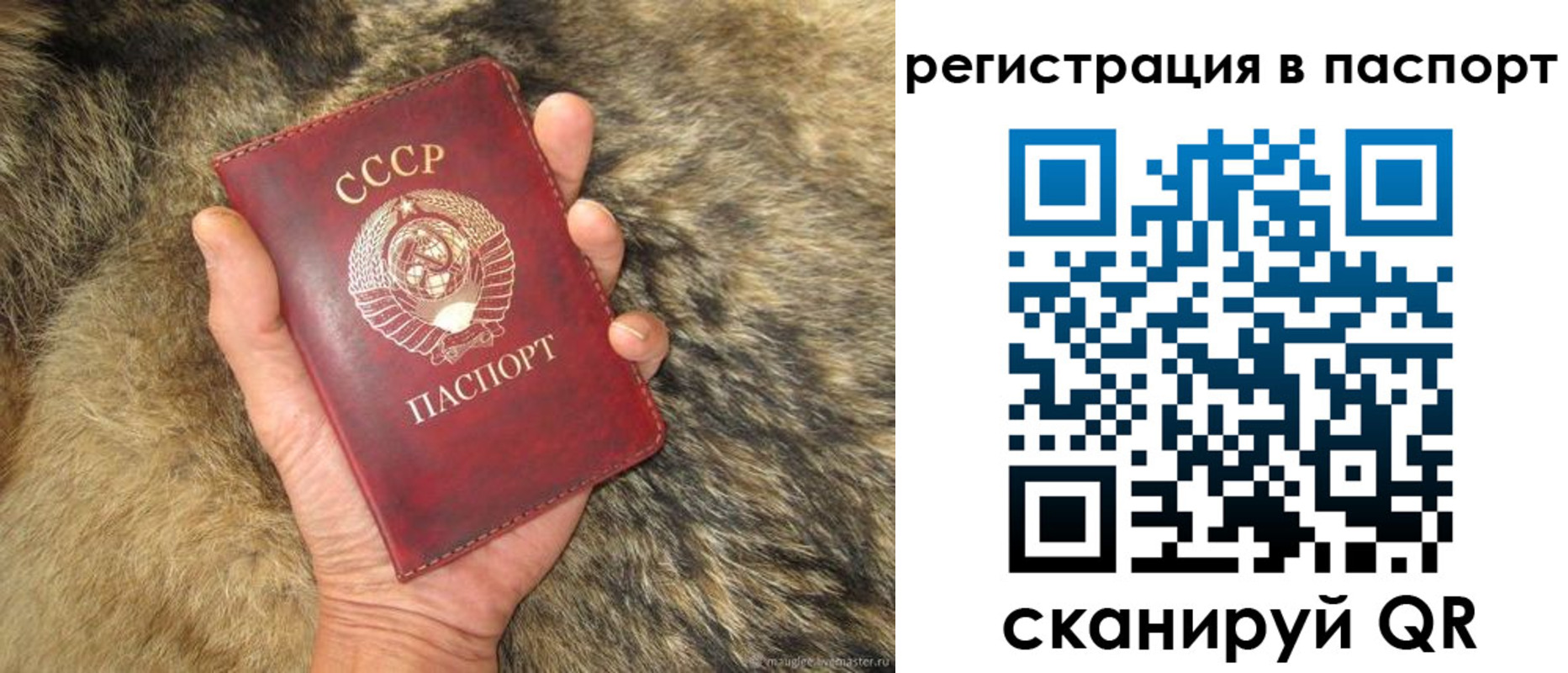 временная регистрация надежно в Майкопе